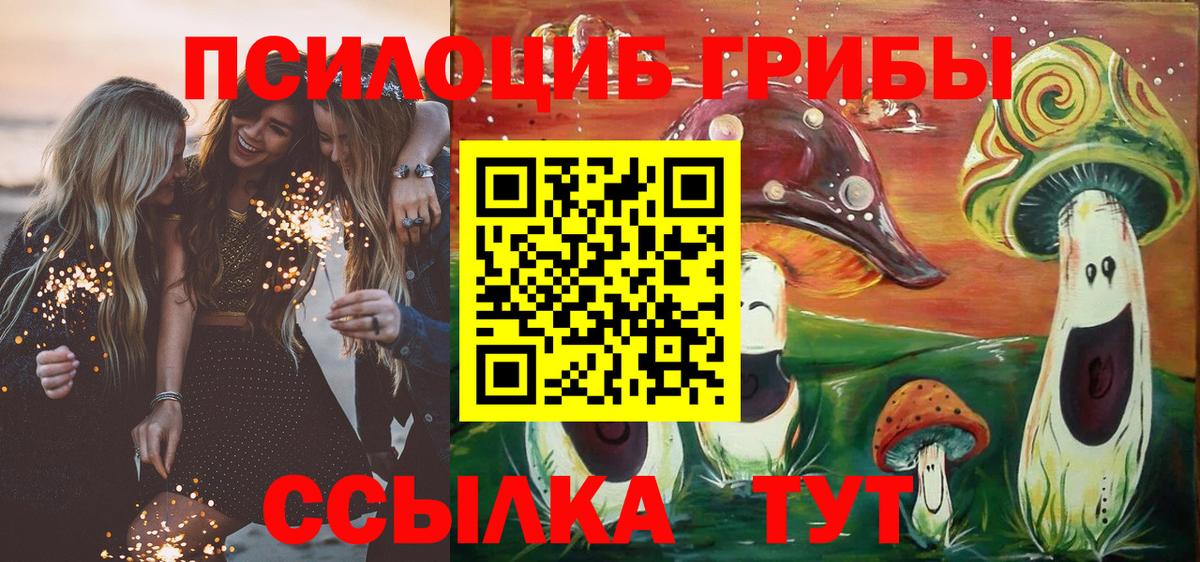 Дмитров  Галлюциногенные грибы ЛСД  Галлюциногенные грибы мухоморы  Вход с VPN 